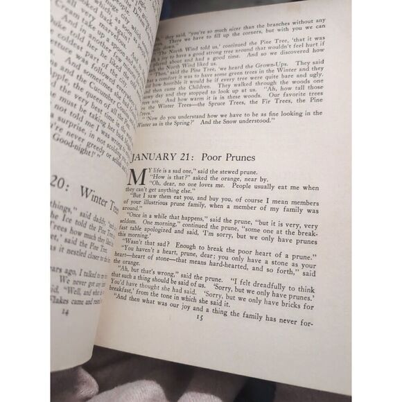 365 Bedtime Stories by Mary Graham Bonner, Illust. by Florence Choate 1923 - Picture 15 of 16